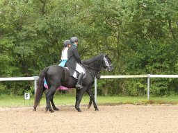 IMG_5103_web